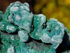 Natural Silky Malachite Specimens x 6 From Kasompe, Congo