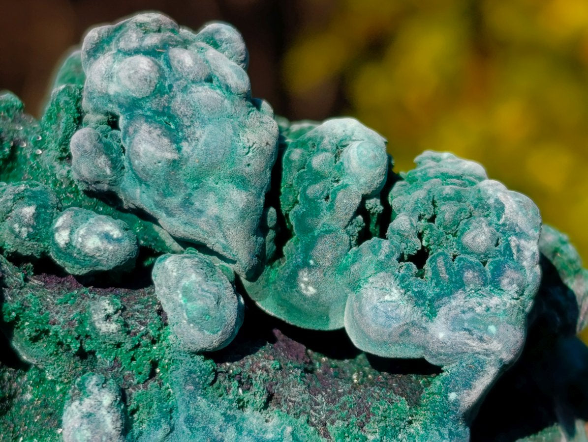 Natural Silky Malachite Specimens x 6 From Kasompe, Congo
