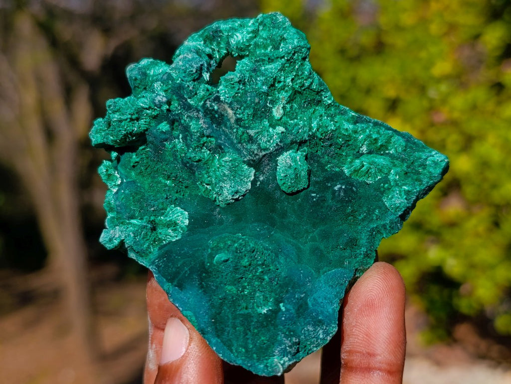 Natural Silky Malachite Specimens x 6 From Kasompe, Congo