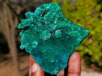 Natural Silky Malachite Specimens x 6 From Kasompe, Congo