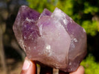 Natural Window Amethyst Crystals x 4 From Ambatondrazaka, Madagascar