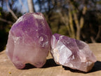 Natural Window Amethyst Crystals x 4 From Ambatondrazaka, Madagascar