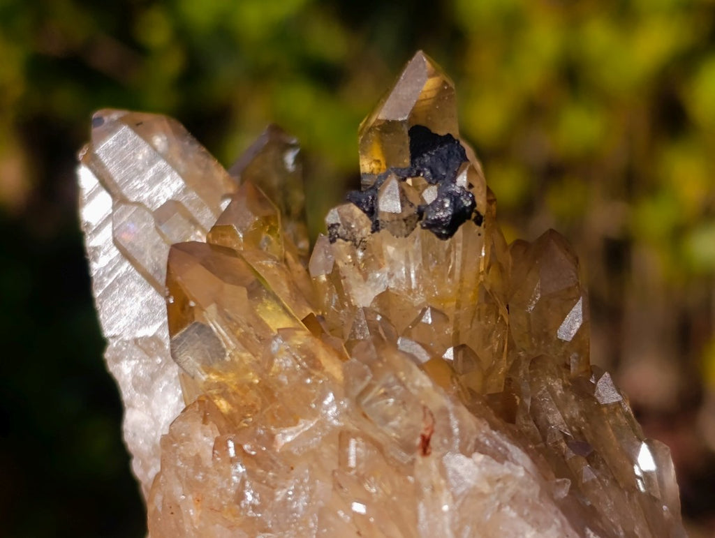Natural Golden Citrine Quartz Clusters x 6 From Luena, Congo