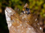 Natural Golden Citrine Quartz Clusters x 6 From Luena, Congo