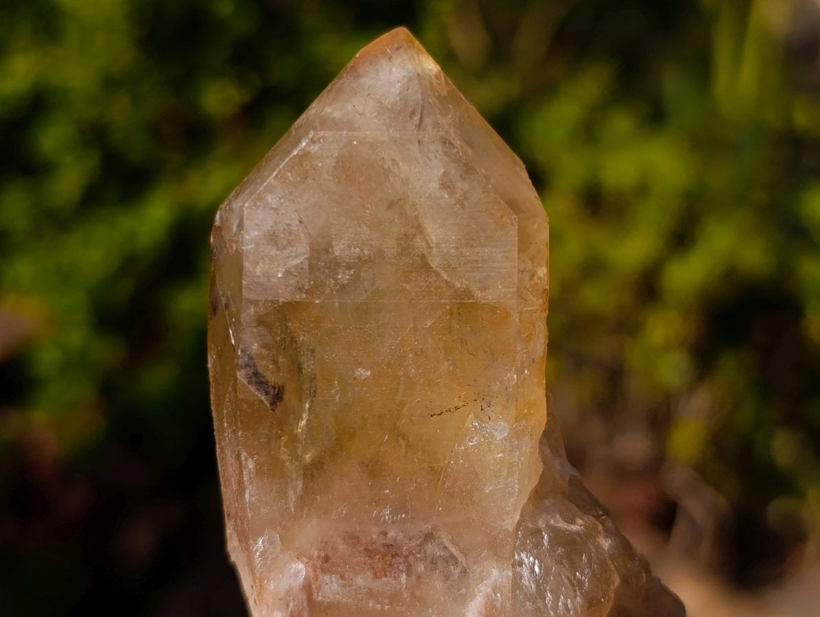 Natural Golden Citrine Quartz Clusters x 6 From Luena, Congo
