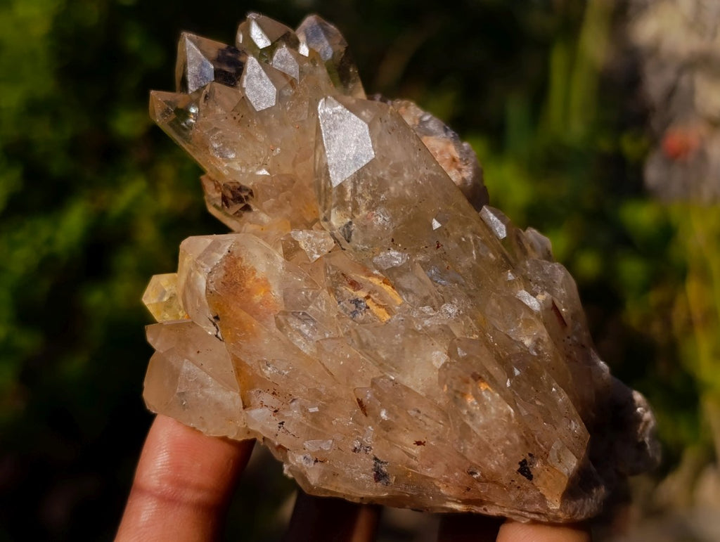 Natural Golden Citrine Quartz Clusters x 6 From Luena, Congo