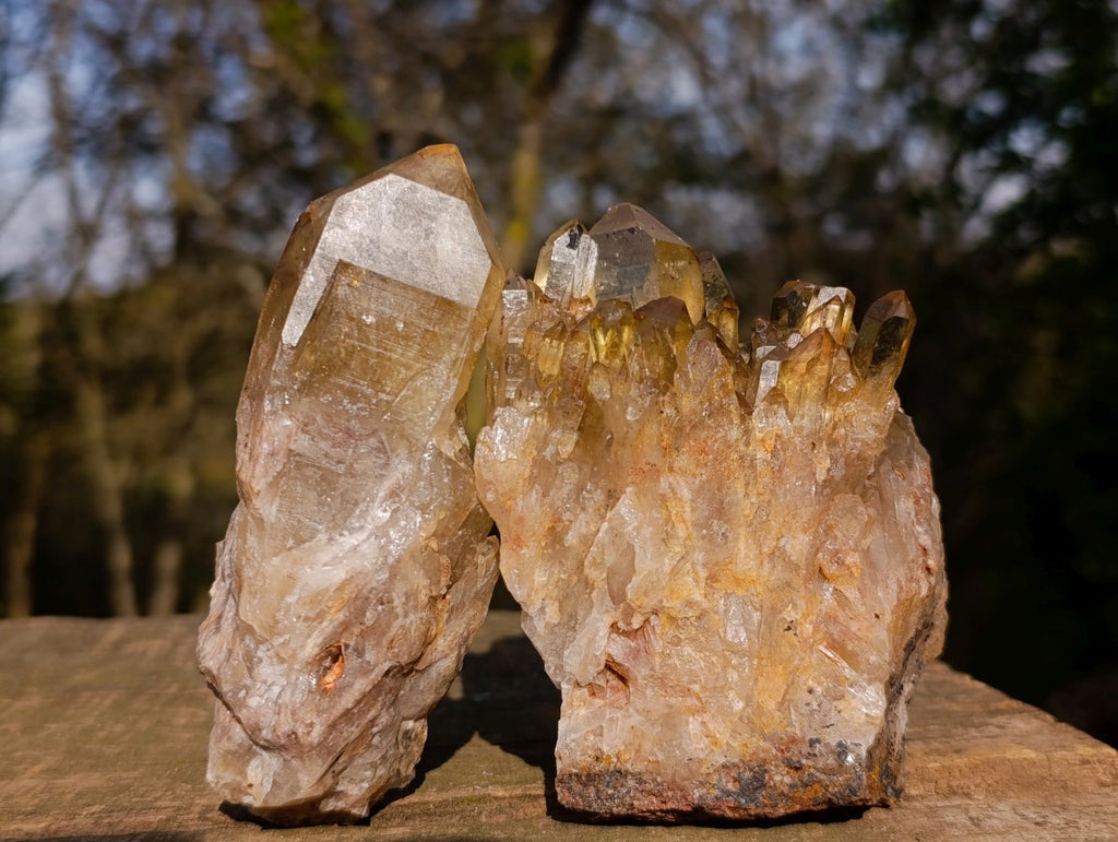 Natural Golden Citrine Quartz Clusters x 6 From Luena, Congo