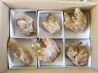 Natural Golden Citrine Quartz Clusters x 6 From Luena, Congo