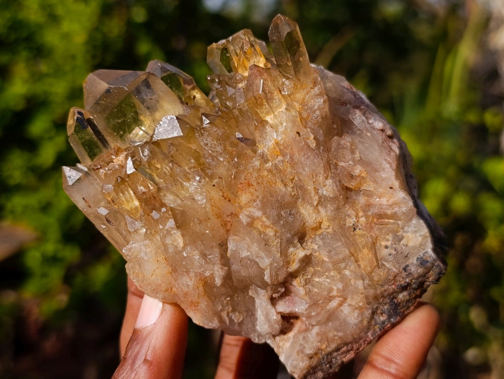 Natural Golden Citrine Quartz Clusters x 6 From Luena, Congo