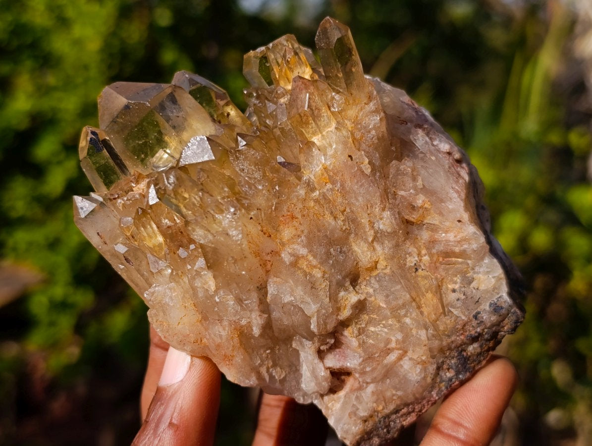 Natural Golden Citrine Quartz Clusters x 6 From Luena, Congo