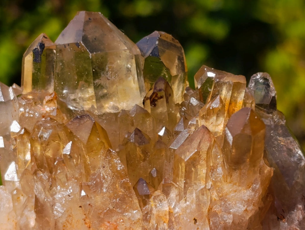 Natural Golden Citrine Quartz Clusters x 6 From Luena, Congo