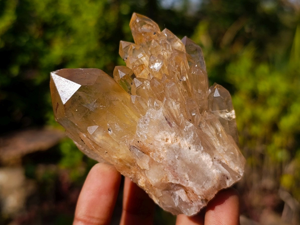 Natural Golden Citrine Quartz Clusters x 6 From Luena, Congo