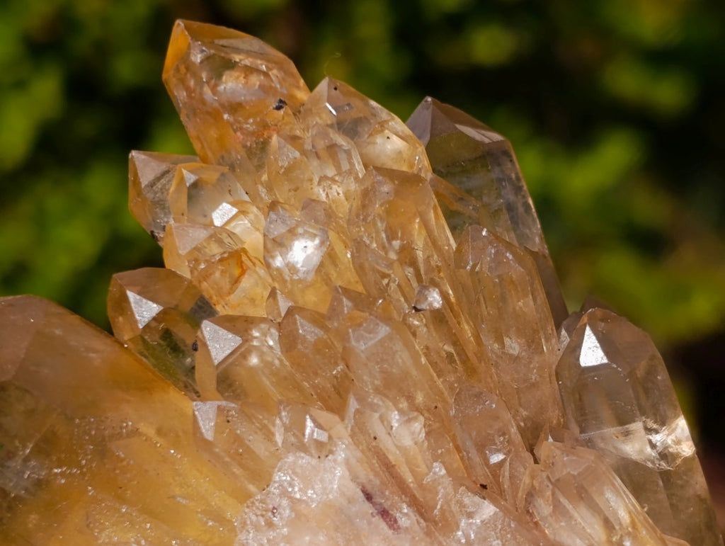 Natural Golden Citrine Quartz Clusters x 6 From Luena, Congo
