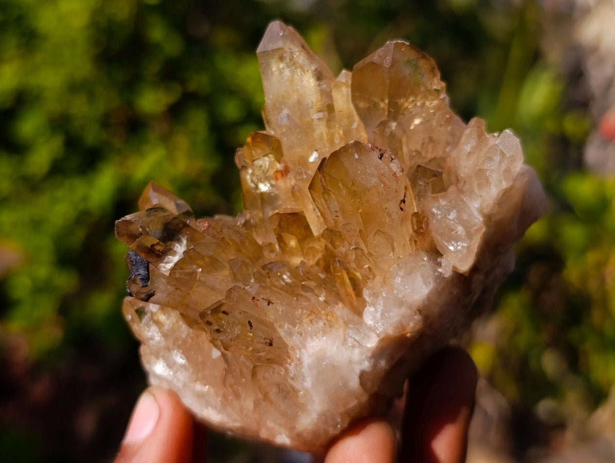 Natural Golden Citrine Quartz Clusters x 6 From Luena, Congo
