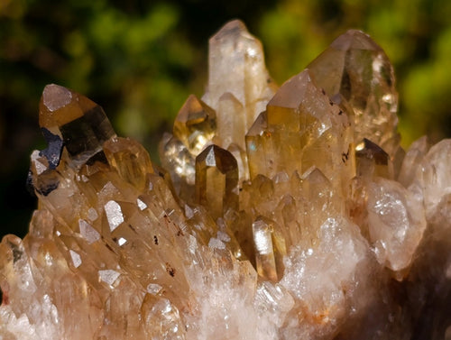 Natural Golden Citrine Quartz Clusters x 6 From Luena, Congo