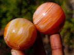 Polished Small Carnelian Agate Gemstone Spheres x 12 From Madagascar