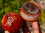 Polished Small Carnelian Agate Gemstone Spheres x 12 From Madagascar