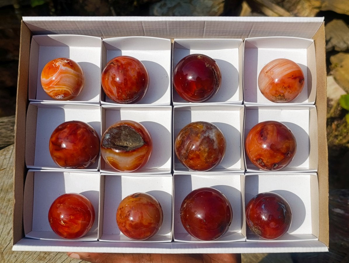 Polished Small Carnelian Agate Gemstone Spheres x 12 From Madagascar