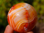 Polished Small Carnelian Agate Gemstone Spheres x 12 From Madagascar