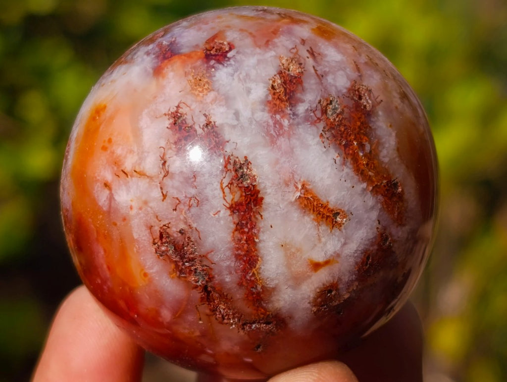 Polished Small Carnelian Agate Gemstone Spheres x 12 From Madagascar