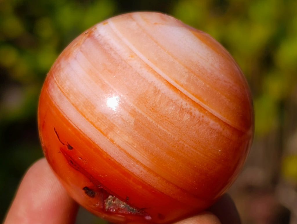 Polished Small Carnelian Agate Gemstone Spheres x 12 From Madagascar