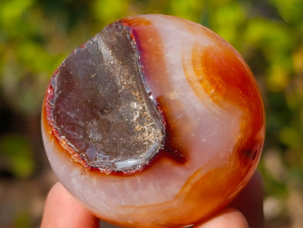 Polished Small Carnelian Agate Gemstone Spheres x 12 From Madagascar