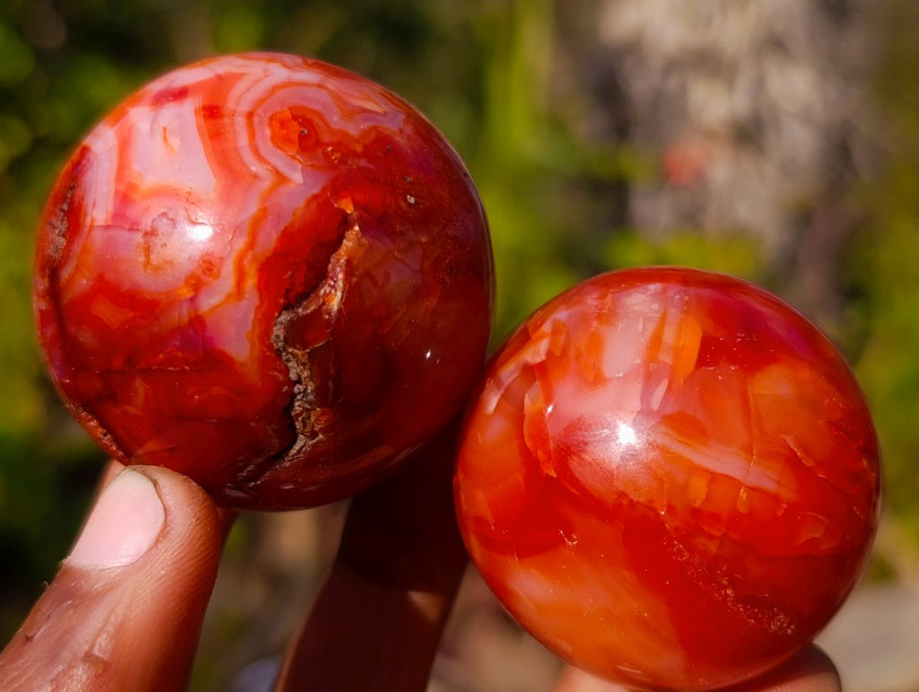 Polished Small Carnelian Agate Gemstone Spheres x 12 From Madagascar