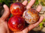 Polished Small Carnelian Agate Gemstone Spheres x 12 From Madagascar