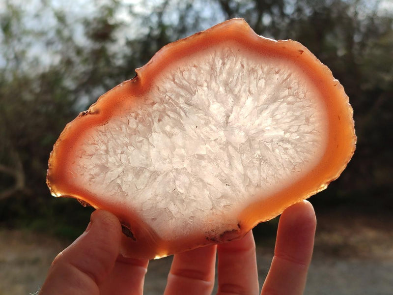 Polished One Side Red Shashe River Agate Slices x 6 From Shashe River, Zimbabwe - Toprock Gemstones and Minerals 
