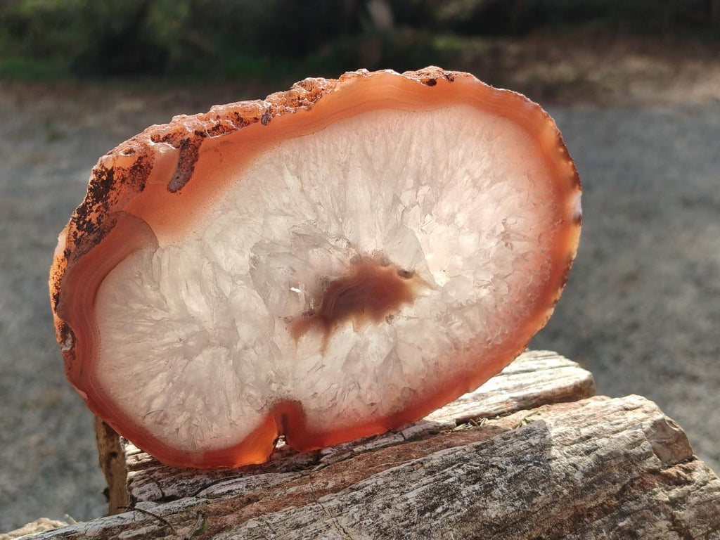 Polished One Side Red Shashe River Agate Slices x 6 From Shashe River, Zimbabwe - Toprock Gemstones and Minerals 