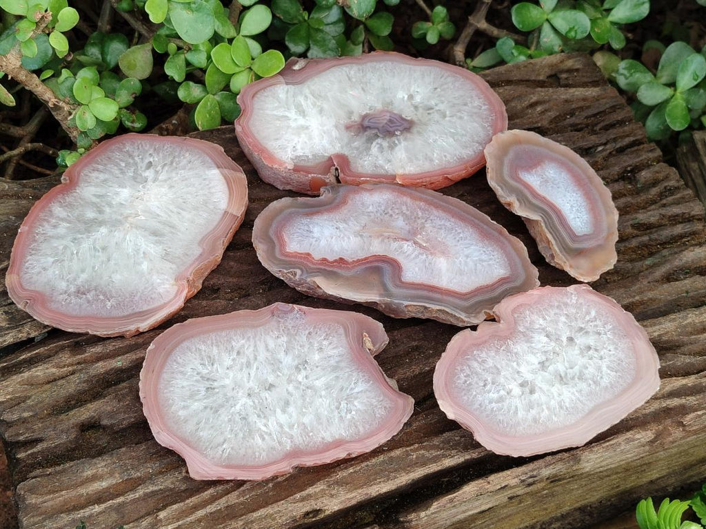 Polished One Side Red Shashe River Agate Slices x 6 From Shashe River, Zimbabwe - Toprock Gemstones and Minerals 