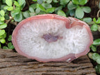 Polished One Side Red Shashe River Agate Slices x 6 From Shashe River, Zimbabwe - Toprock Gemstones and Minerals 