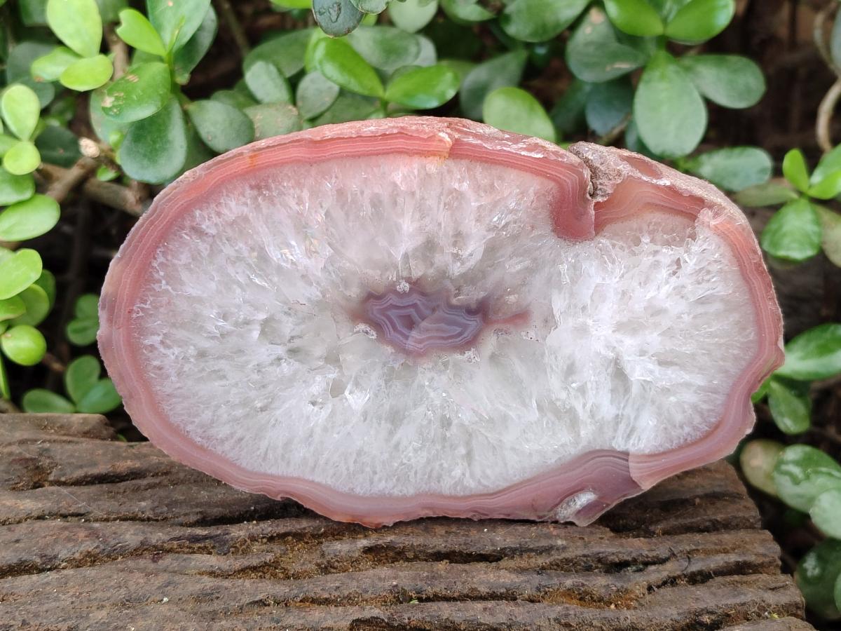 Polished One Side Red Shashe River Agate Slices x 6 From Shashe River, Zimbabwe - Toprock Gemstones and Minerals 