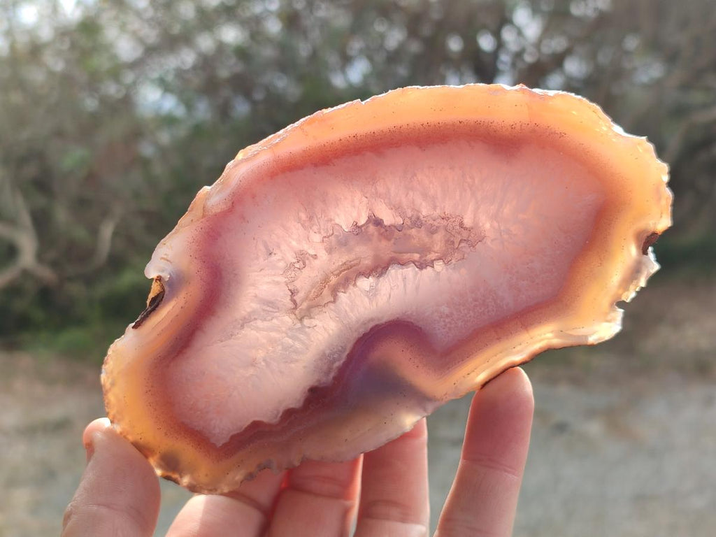 Polished One Side Red Shashe River Agate Slices x 6 From Shashe River, Zimbabwe - Toprock Gemstones and Minerals 
