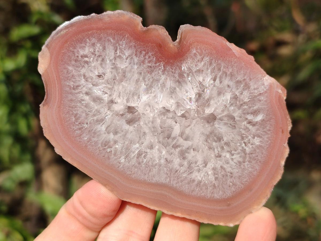 Polished One Side Red Shashe River Agate Slices x 6 From Shashe River, Zimbabwe - Toprock Gemstones and Minerals 