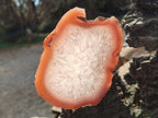 Polished One Side Red Shashe River Agate Slices x 6 From Shashe River, Zimbabwe - Toprock Gemstones and Minerals 