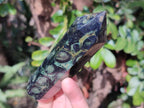 Polished Stromatolite "Kambaba Jasper" Display Crystals x 12 From Katsepy, Madagascar - Toprock Gemstones and Minerals 