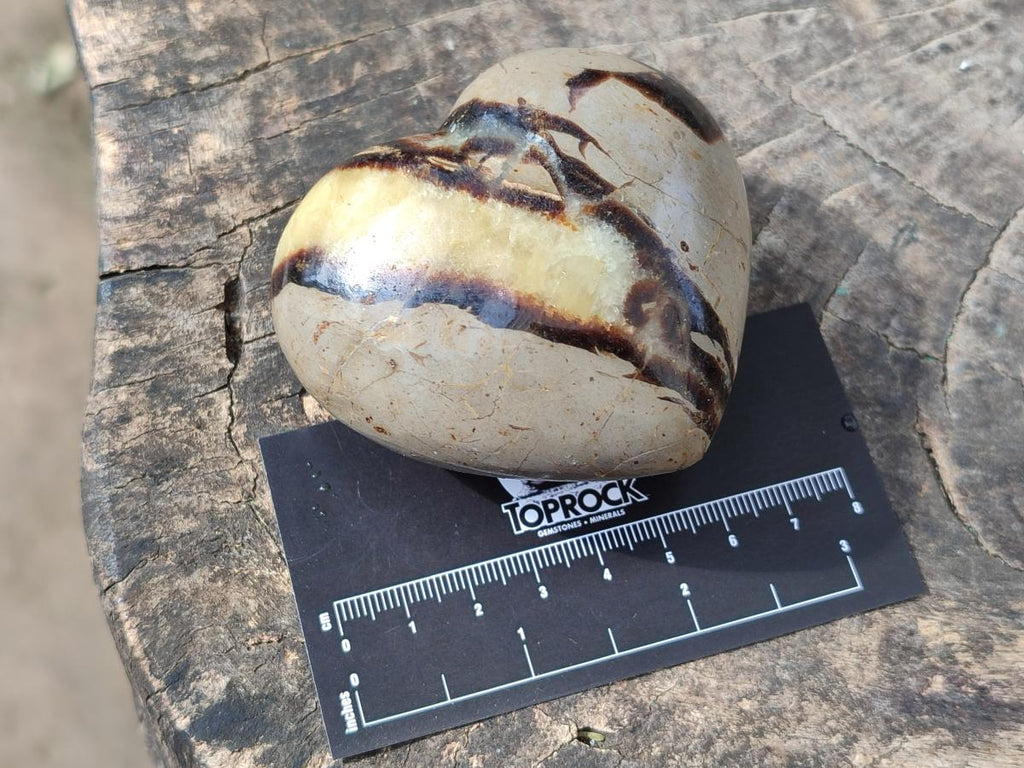 Polished Septerye Hearts x 12 From Mahajanga, Madagascar - Toprock Gemstones and Minerals 