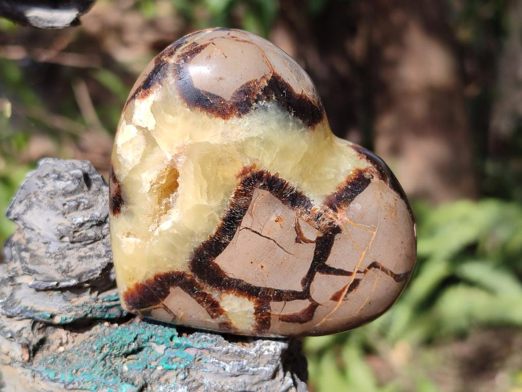 Polished Septerye Hearts x 12 From Mahajanga, Madagascar - Toprock Gemstones and Minerals 