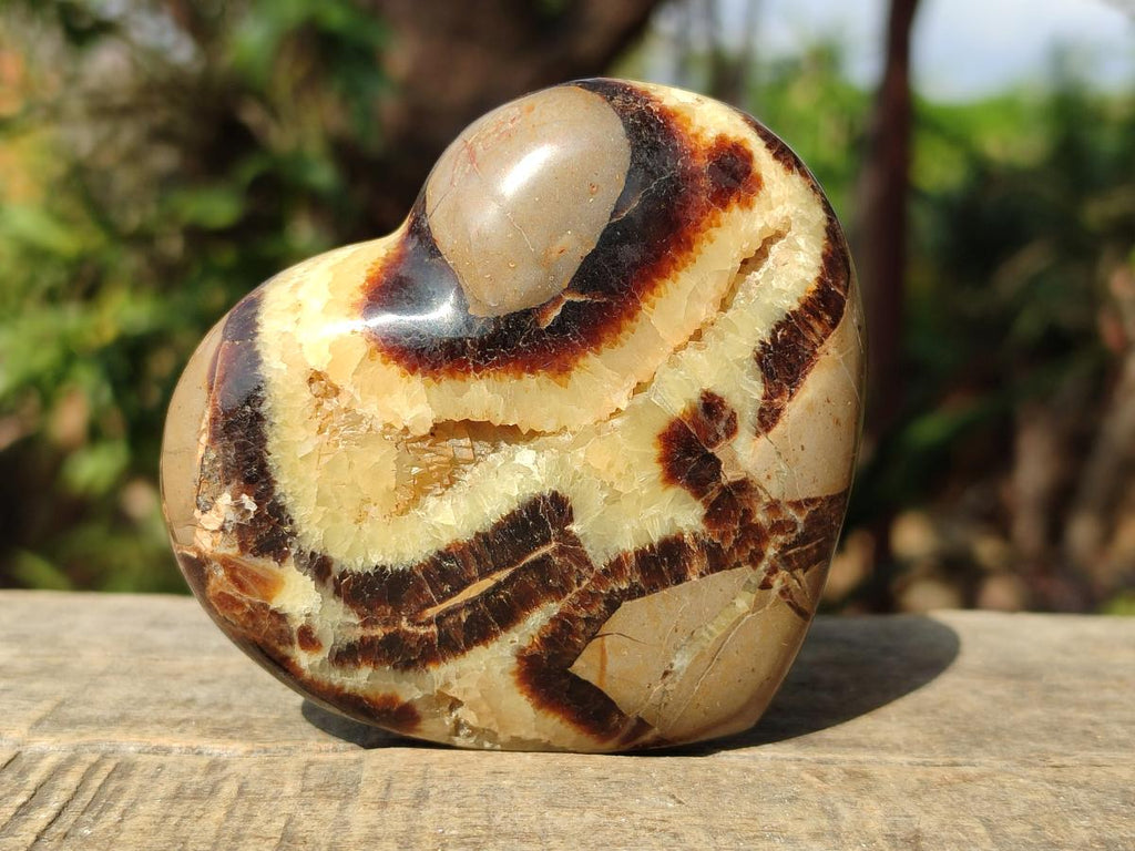 Polished Septerye Hearts x 12 From Mahajanga, Madagascar - Toprock Gemstones and Minerals 