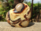 Polished Septerye Hearts x 12 From Mahajanga, Madagascar - Toprock Gemstones and Minerals 