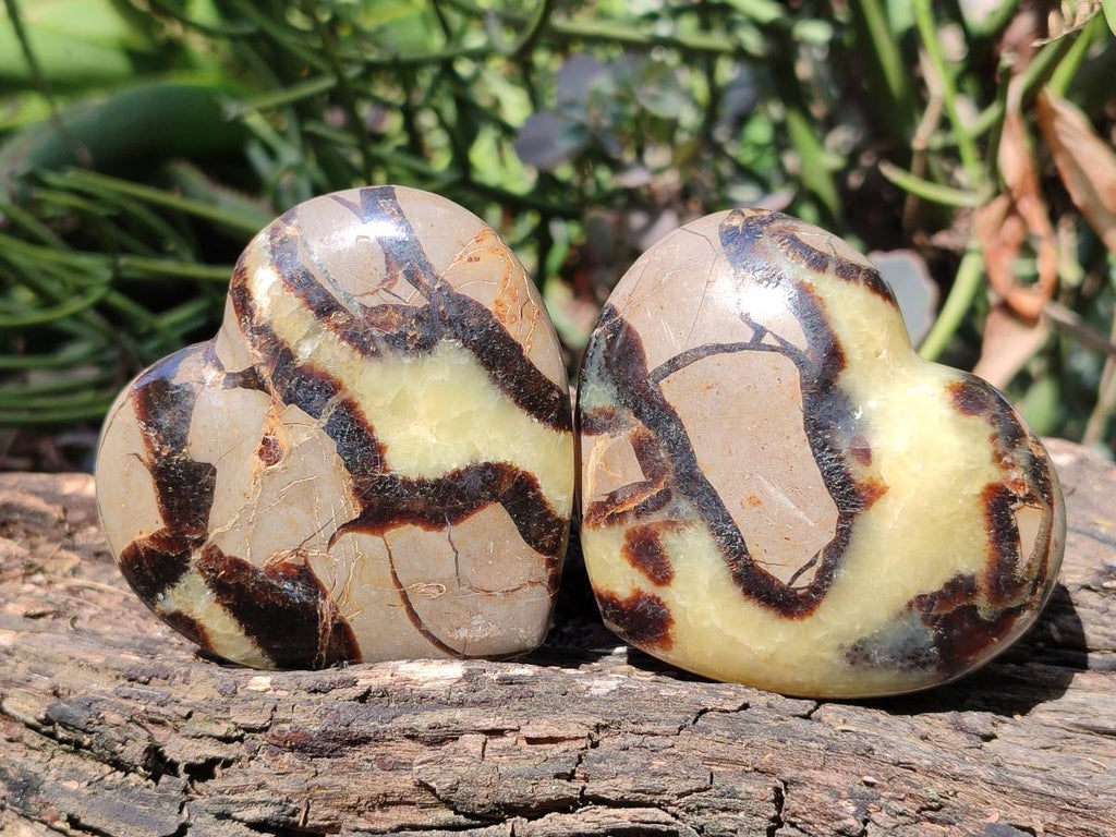 Polished Septerye Hearts x 12 From Mahajanga, Madagascar - Toprock Gemstones and Minerals 