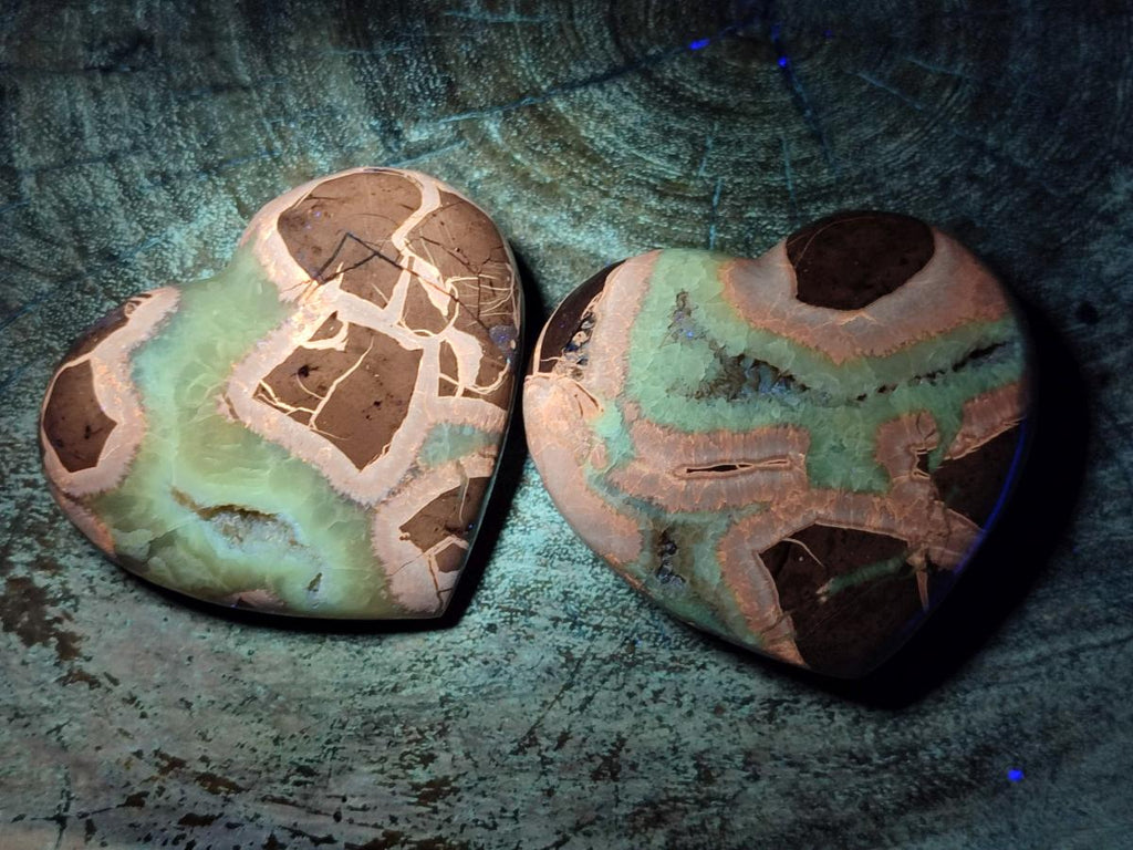 Polished Septerye Hearts x 12 From Mahajanga, Madagascar - Toprock Gemstones and Minerals 