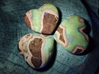 Polished Septerye Hearts x 12 From Mahajanga, Madagascar - Toprock Gemstones and Minerals 