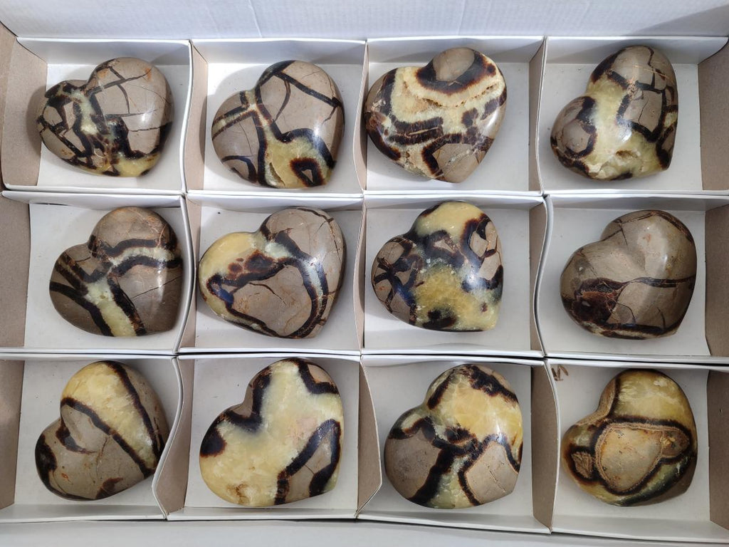 Polished Septerye Hearts x 12 From Mahajanga, Madagascar - Toprock Gemstones and Minerals 