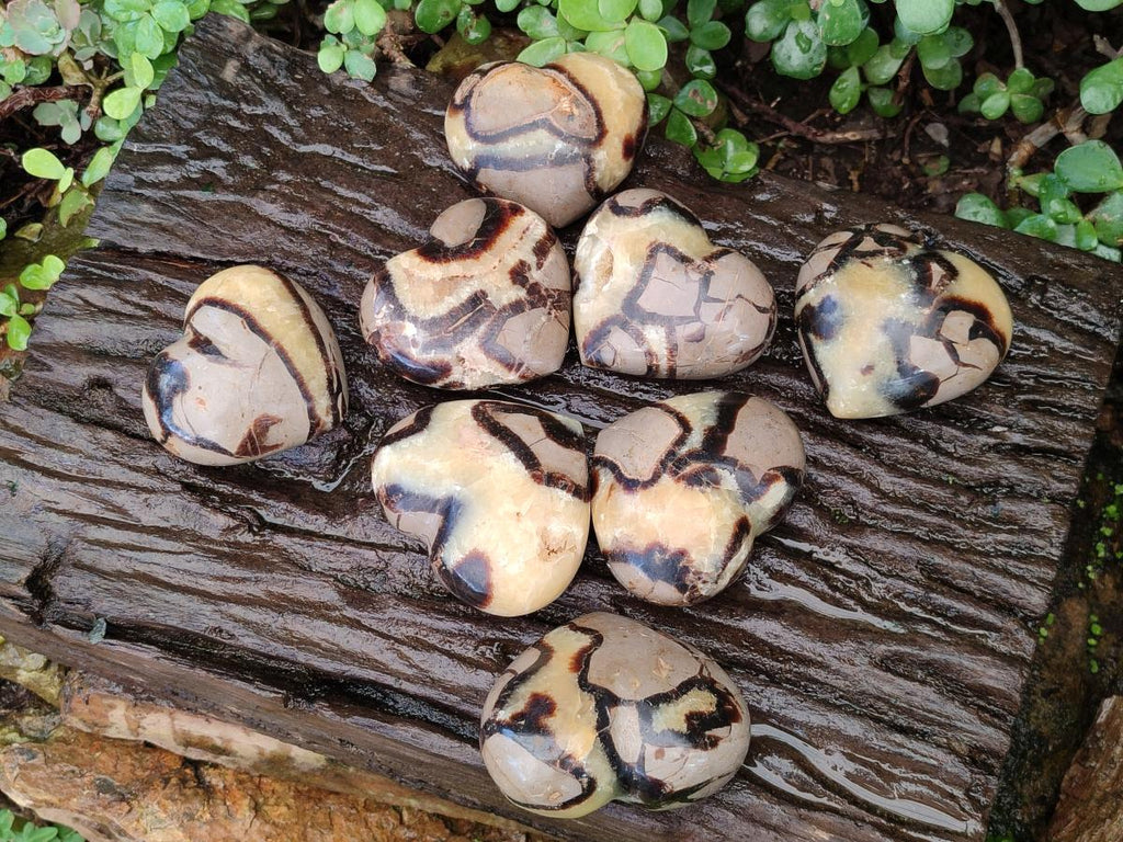 Polished Septerye Hearts x 12 From Mahajanga, Madagascar - Toprock Gemstones and Minerals 