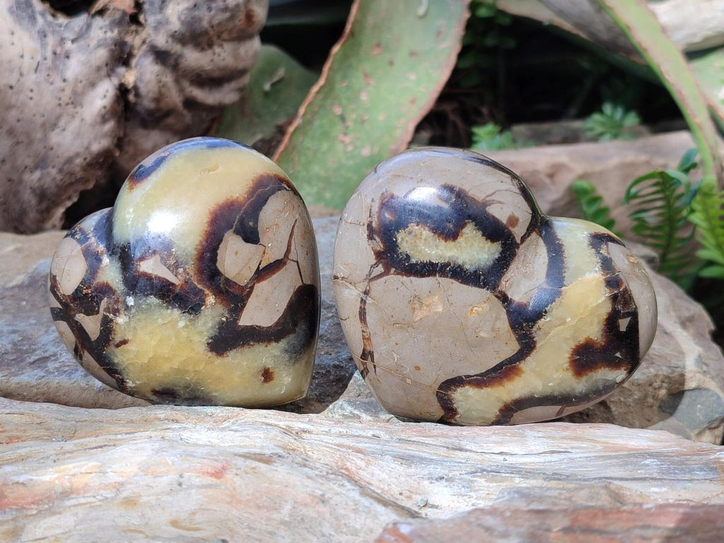 Polished Septerye Hearts x 12 From Mahajanga, Madagascar - Toprock Gemstones and Minerals 