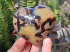 Polished Septerye Hearts x 12 From Mahajanga, Madagascar - Toprock Gemstones and Minerals 
