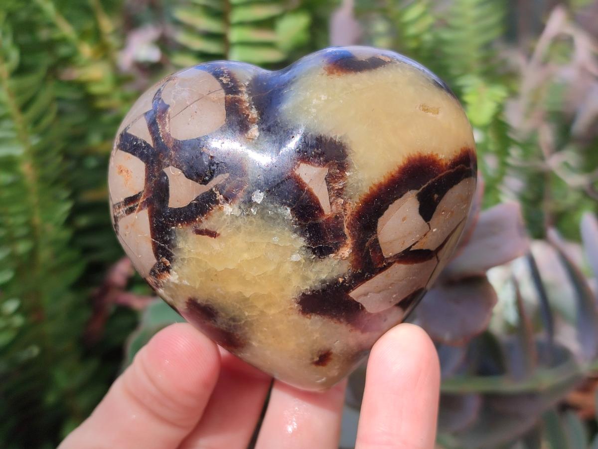 Polished Septerye Hearts x 12 From Mahajanga, Madagascar - Toprock Gemstones and Minerals 