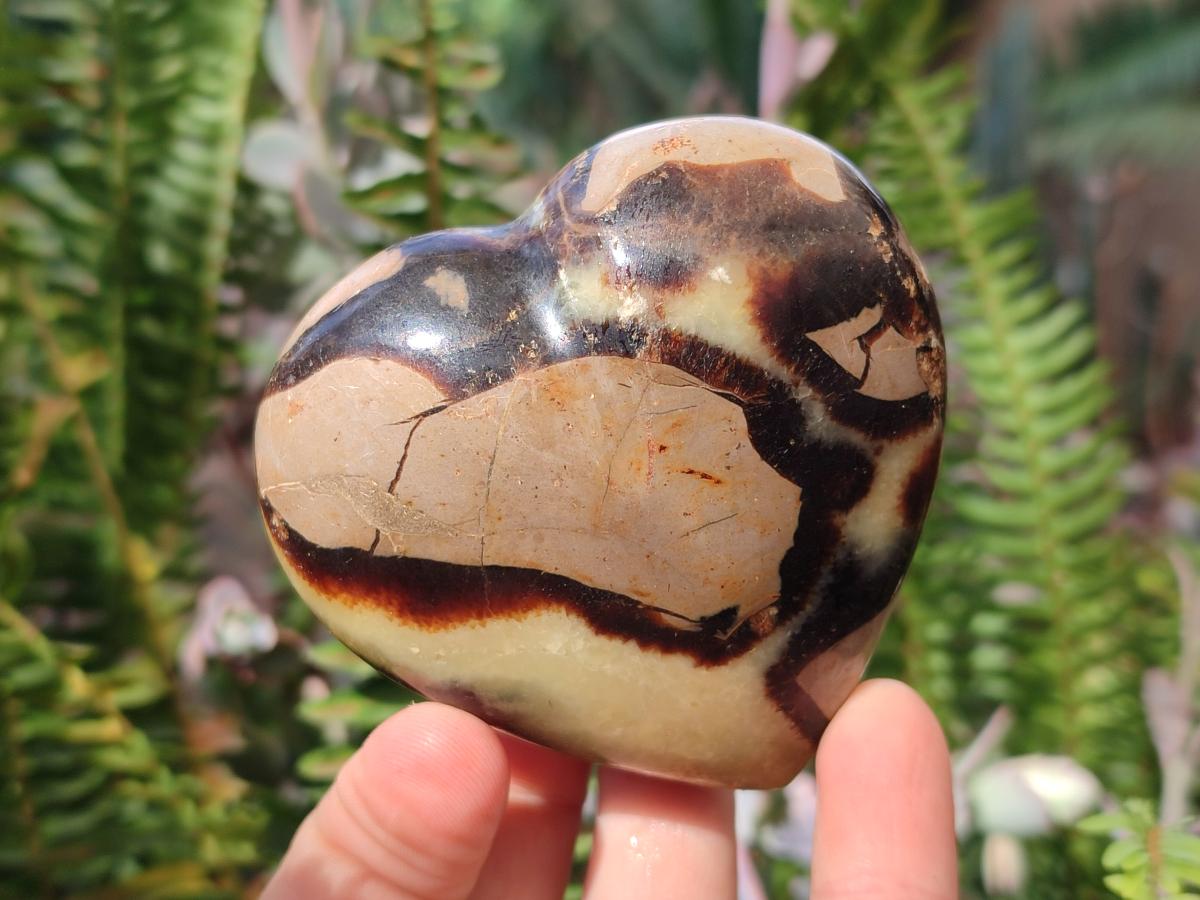 Polished Septerye Hearts x 12 From Mahajanga, Madagascar - Toprock Gemstones and Minerals 